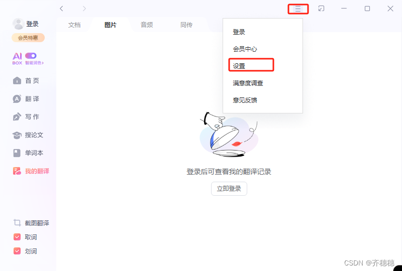 如何在有道翻译官网上查验第三方插件的安全性和授权状态？